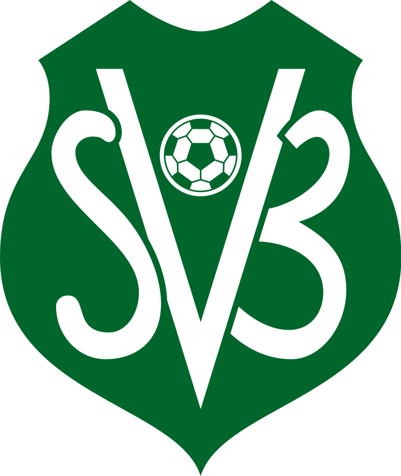 Suriname Logo